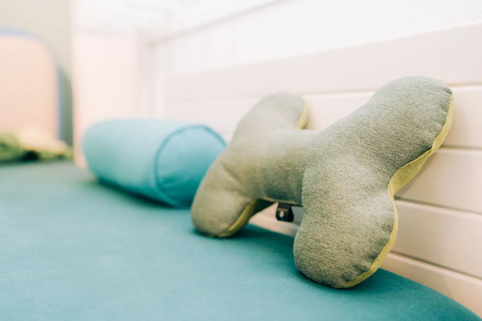 Ein Hund während der Physiotherapie bei Motus Sana